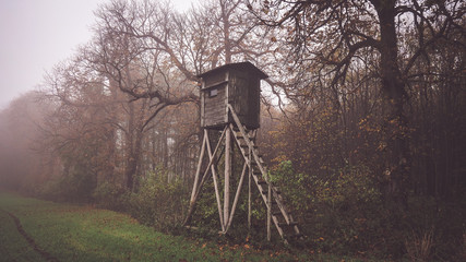 old hunting pulpit in the forest