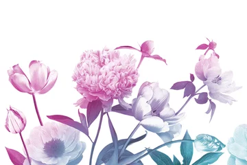 Vintage Blumenkarte. Gartenblumen, Schmetterling und Platz für eine Inschrift. Blühende Pfingstrosen, Schwertlilien und Tulpen auf weißem Hintergrund. Vintage-Illustration. Für Hochzeitsdekor, Grüße, Einladungen. © marinavorona