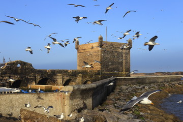 Port in Essaouira, Morocco - 297811847