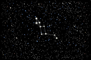 Vector illustration of the constellation Lacerta (Lizard) on a starry black sky background. The astronomical cluster of stars in the constellation in the northern celestial hemisphere.  © dore art