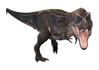 3D Rendering Tyrannosaurus Rex on White