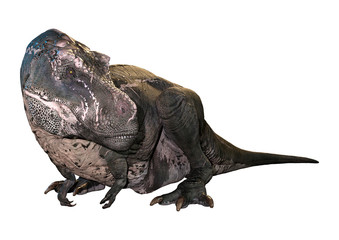Fototapeta premium 3D Rendering Tyrannosaurus Rex on White