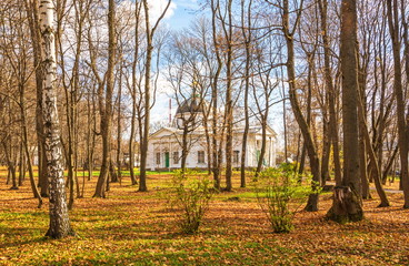 Alley in the autumn park with fallen leaves