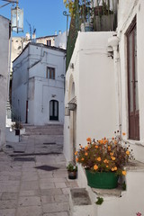 Fototapeta na wymiar Typical Architecture in Monte Sant' Angelo