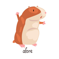 Afore English Language Preposition of Place and Cute Hamster Character, Educational Visual Material for Children Education Vector Illustration