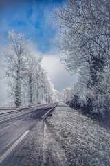 Obraz na płótnie Canvas road in winter forest