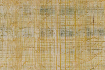 Texture of yellow natural old papyrus paper background