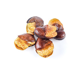 dried broad bean in spoon on white background