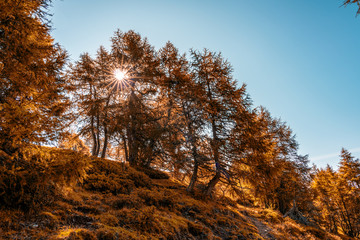 sunrise in the forest in autumn