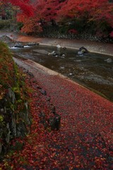 autumn in the river