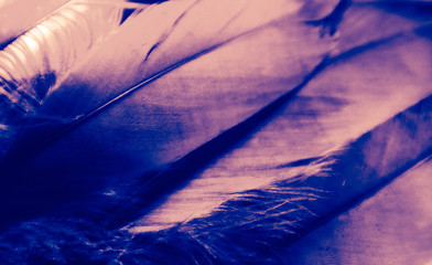 Beautiful abstract blue and purple feathers on darkness background and colorful soft white pink feather texture pattern