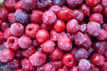 Red, maroon and pink berries of frozen cherries with hoarfrost