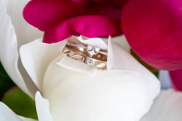 Fototapeta na wymiar A closeup view of a two beautiful white gold rings: engagement with three small diamonds in the shape of a heart and wedding ring with one small diamond, which lie among the petals of white peony bud