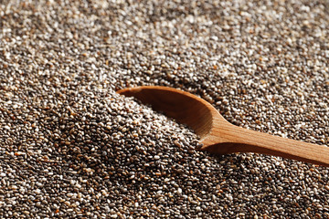 A wooden spoon in chia close-up. Top view. Place for text.