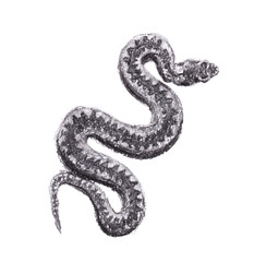 Fototapeta premium Charcoal monochrome drawing .wriggling snake