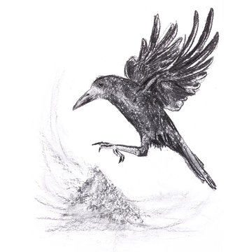 Charcoal drawing a Raven flying up to a handful of ashes