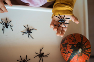 Hands of a child playing with black rubber spiders toys. Halloween october concept.
