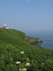 Fototapeta na wymiar 夏の霧多布岬（湯沸岬）と灯台