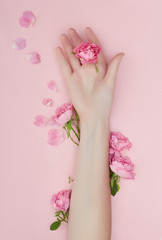 Beauty Hand of a woman with red flowers lies on table, pink paper background. Natural cosmetics product and hand care, moisturizing and wrinkle reduction, skincare