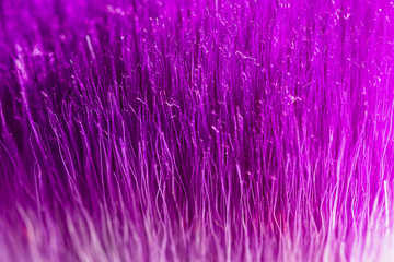 Fototapeta premium purple abstract background, textured template image, brush close up