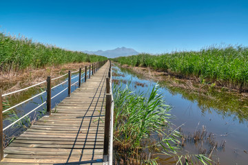 road made of wood on lake