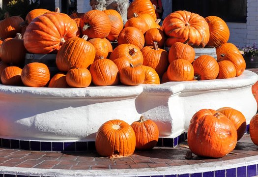 Pumkins on Display in a water fountain