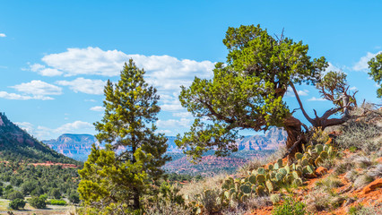 View from the mountain in Sedoa, America