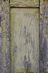 Obraz premium Texture of cracked wooden panels covered with old peeled paint