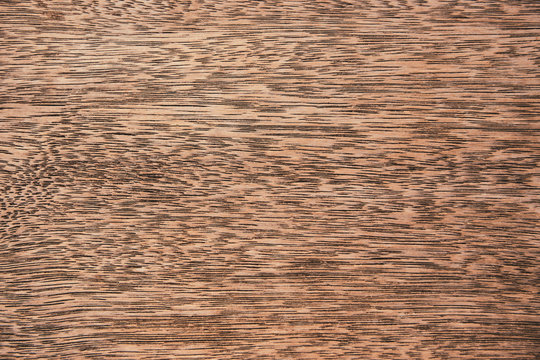 Wooden texture backdrop. Natural material concept. Abstract background