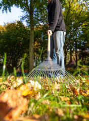 Man fegt mit Rechen Blätter im Herbst Autumn zusammen