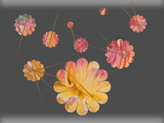 flowers on grey background