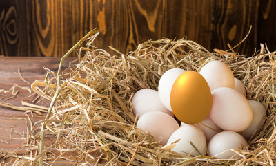 invest in gold egg , concept risk investment in trading asset	