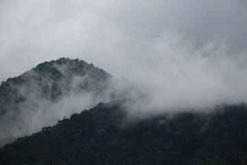 Landscape with mist on hill freshness and beautiful in nature background