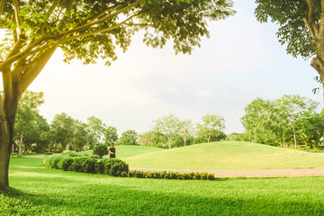 A man walking under beautiful pure sunrise morning in public park with green grass, tree and flower. Half moon park in Ho Chi Minh city, Vietnam.