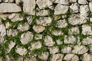 Stone wall texture as a background
