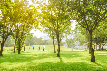 Fototapeta na wymiar People are walking under beautiful pure sunrise morning in public park with green grass, tree and flower. Half moon park in Ho Chi Minh city, Vietnam.