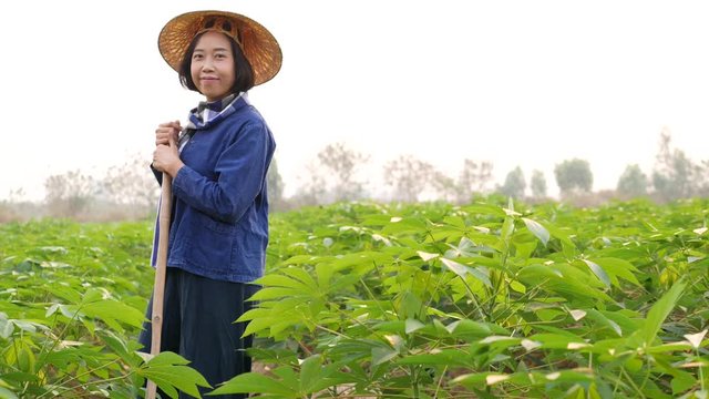 Smiling female tapioca farmer who wearing a blue Mauhom T-shirt, wrapped around the neck with blue and white plaid loincloth, wearing a palm-leaf hat(ngop), is using a spade to hedge grass and Project
