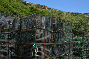 Trap, nasa or retel to fish for seafood