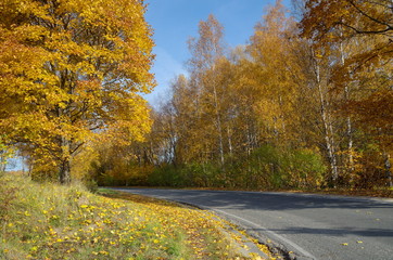 Autumn landscape with asphalt road