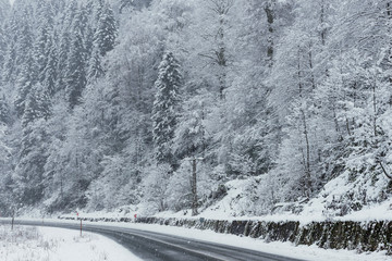 Snowy road scene in winter, with snowy trees, rocks and asphalt road.