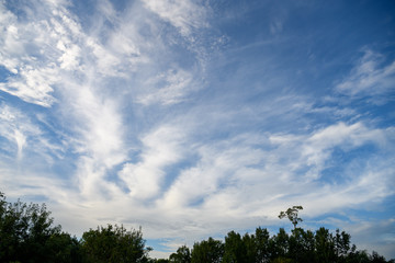 Obraz premium 秋の空