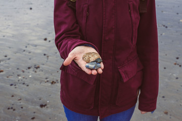 kobieta trzyma w dłoni kamienie i muszelki, jest na plaży © magorzata