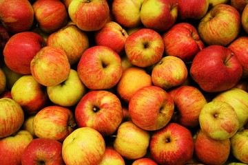 Many fresh organic apples fill the photo  