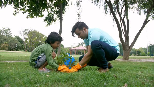 A young attractive man gardening a little sapling with his son in a park - ecology concept. Cute little boy helping his father in planting the tree while working together in a garden - Go green con...