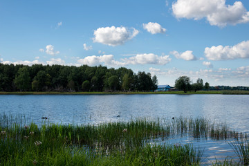 Fototapeta na wymiar Summer landscape in the Vologda region, Russia