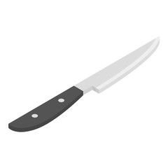 Kitchen knife icon. Isometric of kitchen knife vector icon for web design isolated on white background
