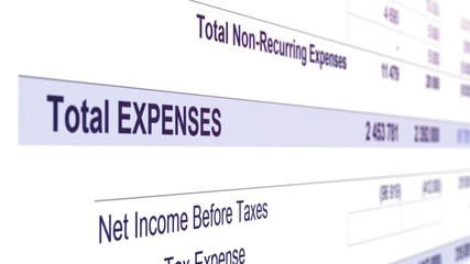 Total expenses underlined accounting information, business year budget table