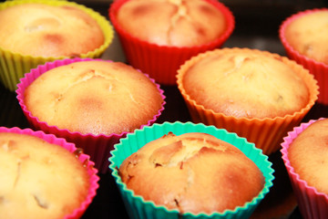 baked biscuit yellow edible cupcakes in multi-colored a silicone forms