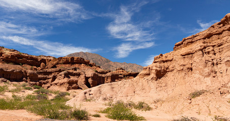 Fototapeta premium Camino entre Salta y Cafayate Argentina