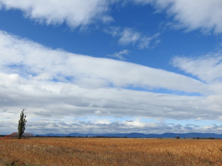 A field in cultivation under a blue sky in autumn